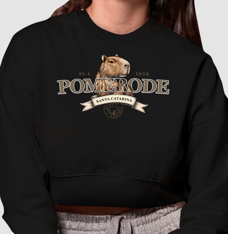 Cidade Pomerode - SC