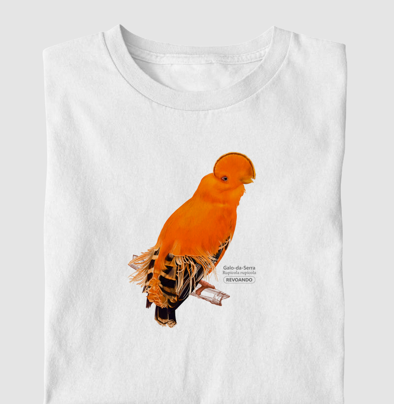 Inky Aves - Galo-da-serra - Infantil