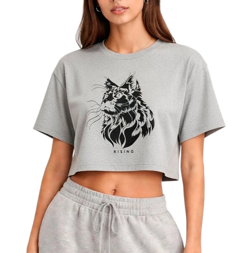 Curious Cat - Rising