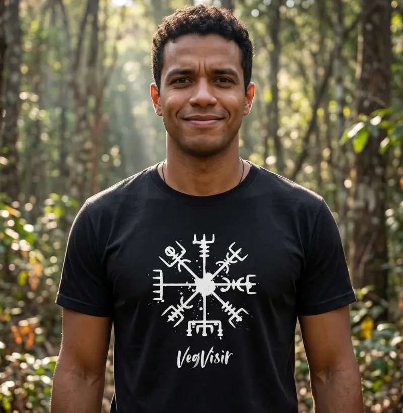 Vegvisir