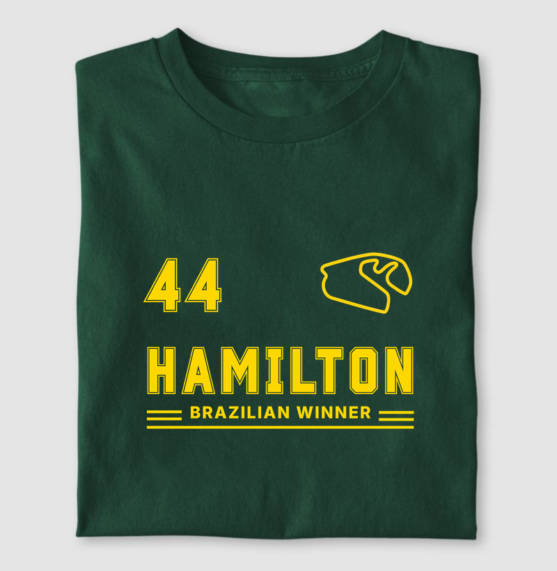 Lewis Hamilton Brazilian Winner