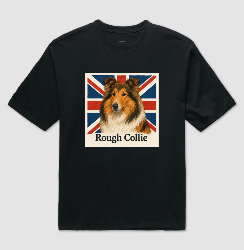 Rough Collie 02