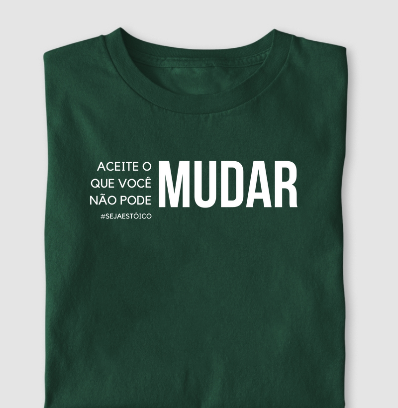 Aceite o Que Você Não Pode Mudar