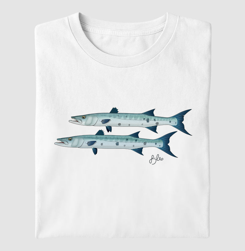 Barracudas