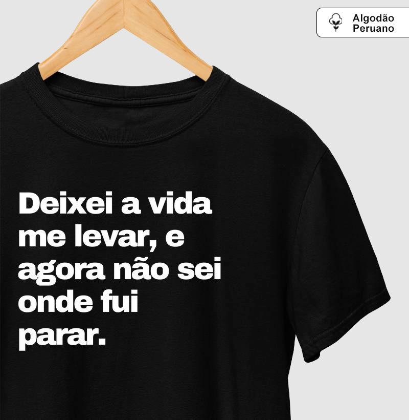 Deixei a vida me levar