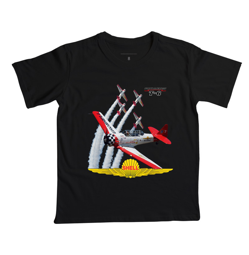 Aeroshell Aerobatic Team