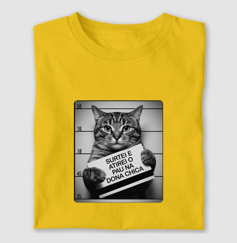 SURTEI E ATIREI O PAU NA DONA CHICA