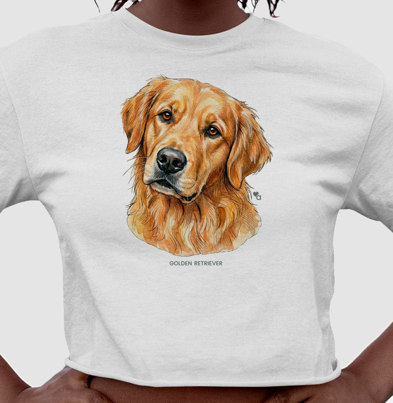 Cães - Golden Retriever - Cropped