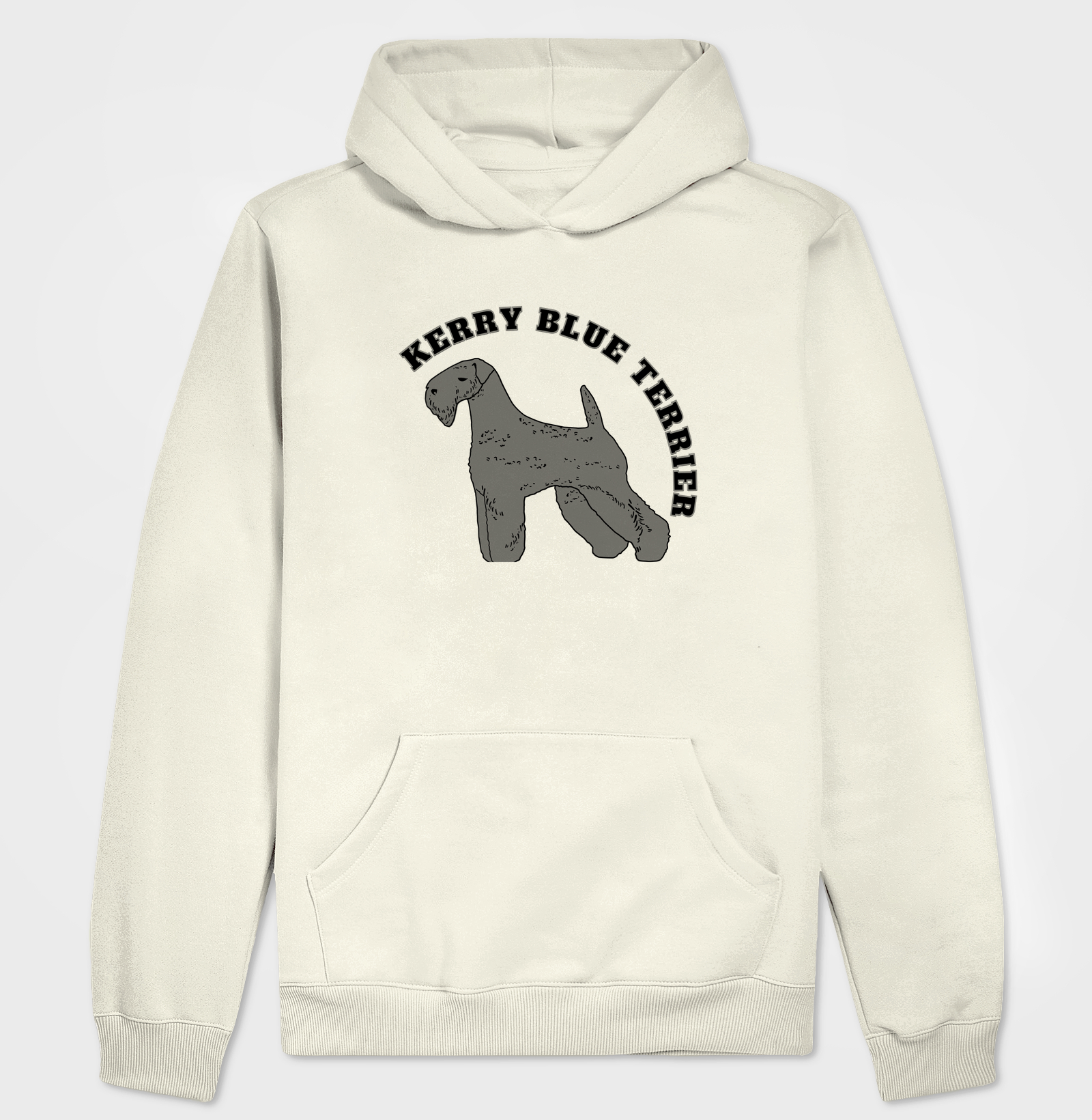 Kerry Blue Terrier