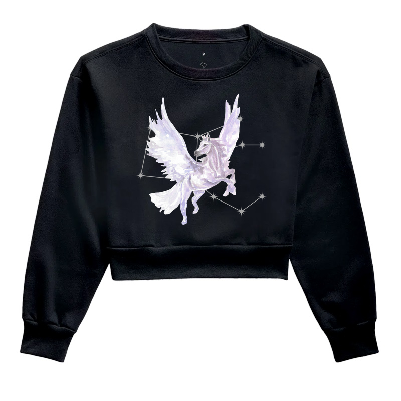 Pégaso e sua Constelação