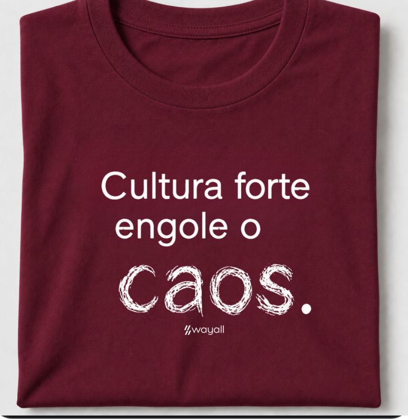 Cultura forte engole o caos