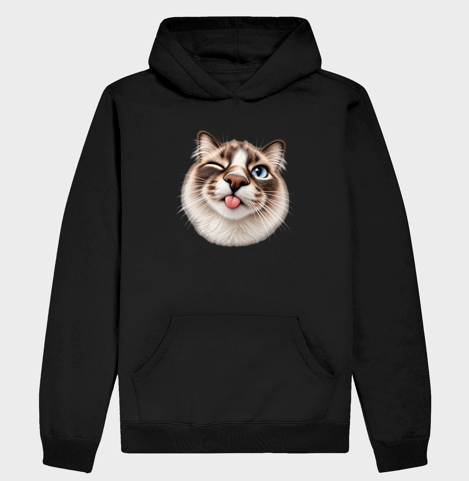 focinhos - ragdoll