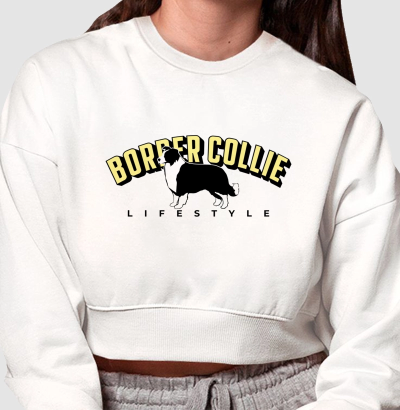 Border Collie Lifestyle com Amarelo