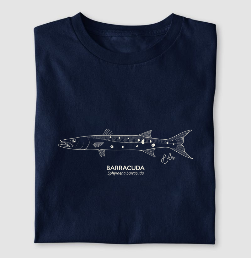 Barracuda Minimalismo