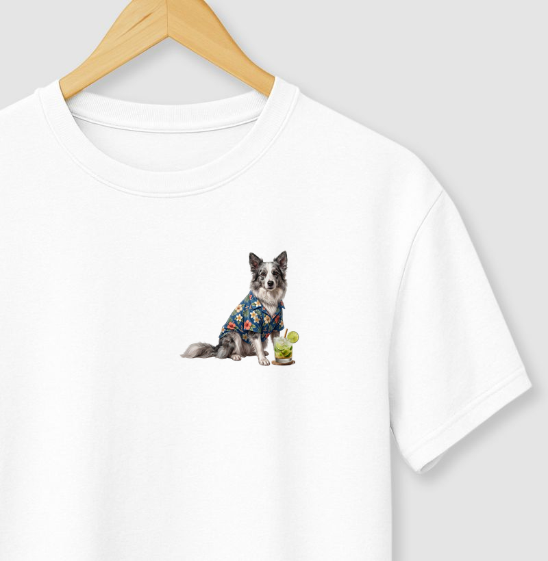 Border Collie Cinza - Férias