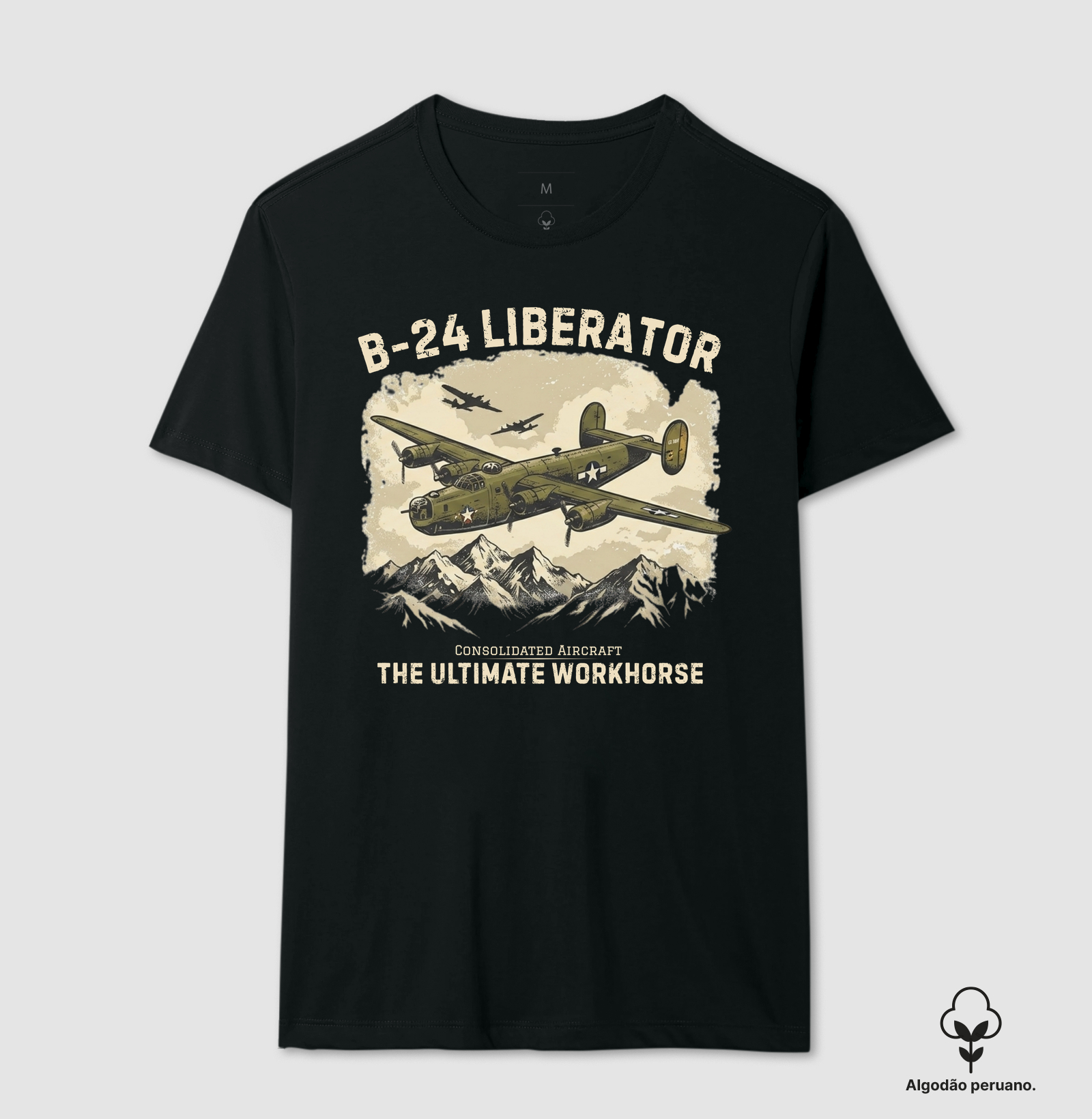 B-24 Liberator