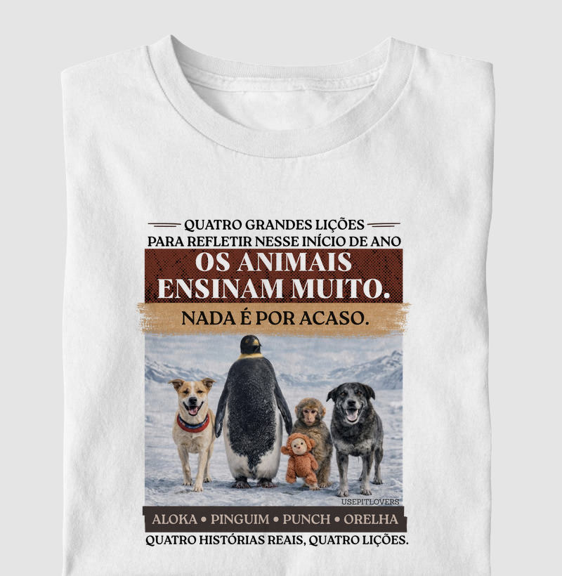 QUATRO GRANDES LIÇÕES PARA REFLETIR NESSE INÍCIO DE ANO. OS ANIMAIS ENSINAM MUITO. NADA É POR ACASO. ALOKA, PINGUIM, PUNCH E ORELHA. QUATRO HISTÓRIAS REAIS, QUATRO LIÇÕES.