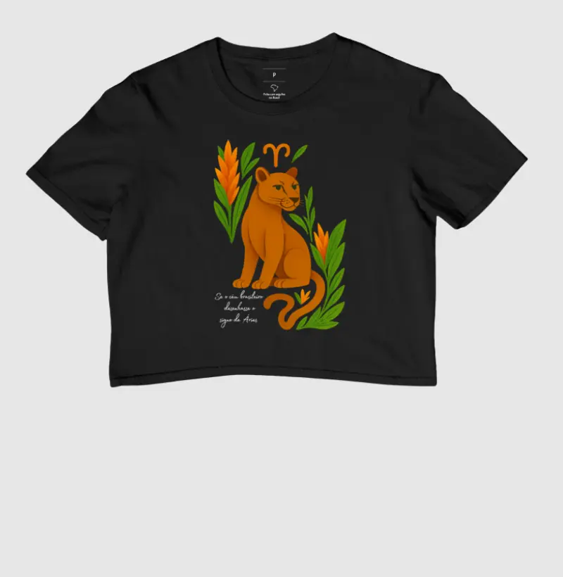 Áries desenhado pelo céu brasileiro