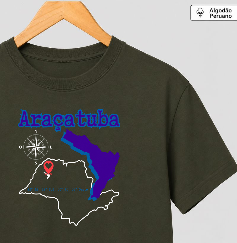 Araçatuba localização IV