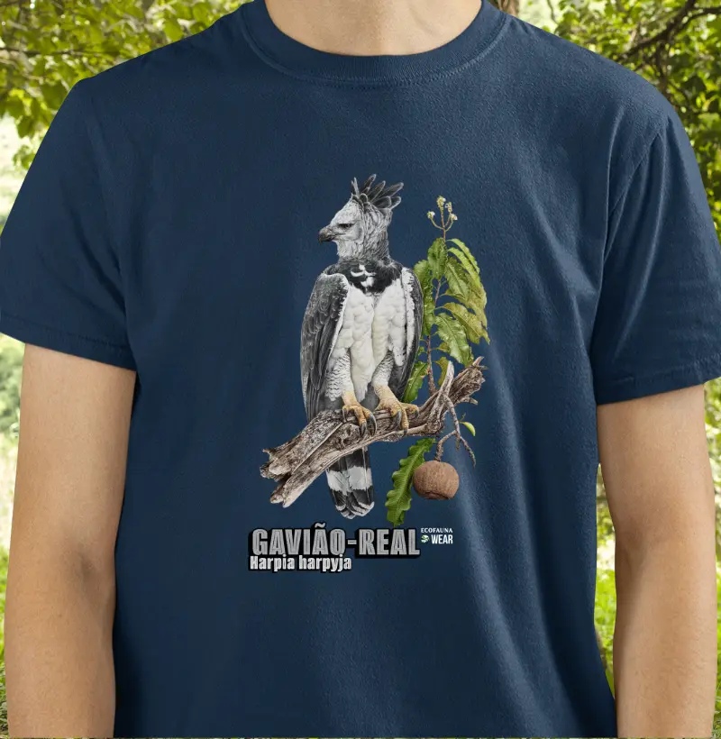 GAVIÃO-REAL - Coleção Aves
