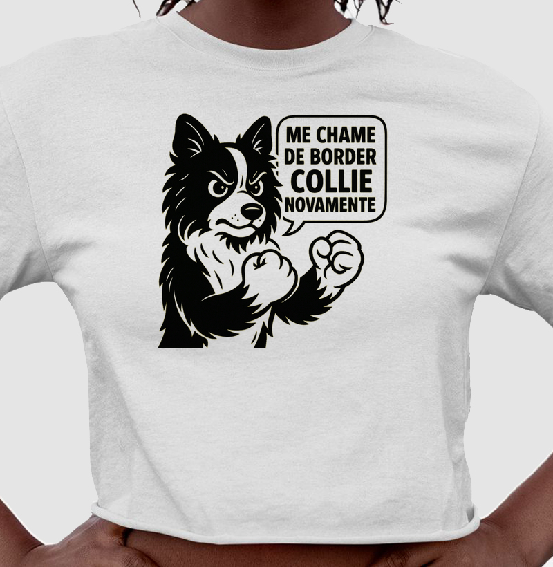  Yakutian Laika Me Chame de Boreder Collie Novamente