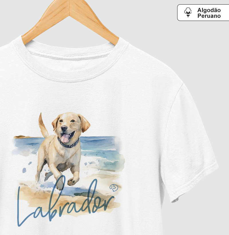 Labrador Splash