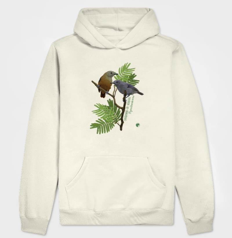 Choquinha-de-alagoas