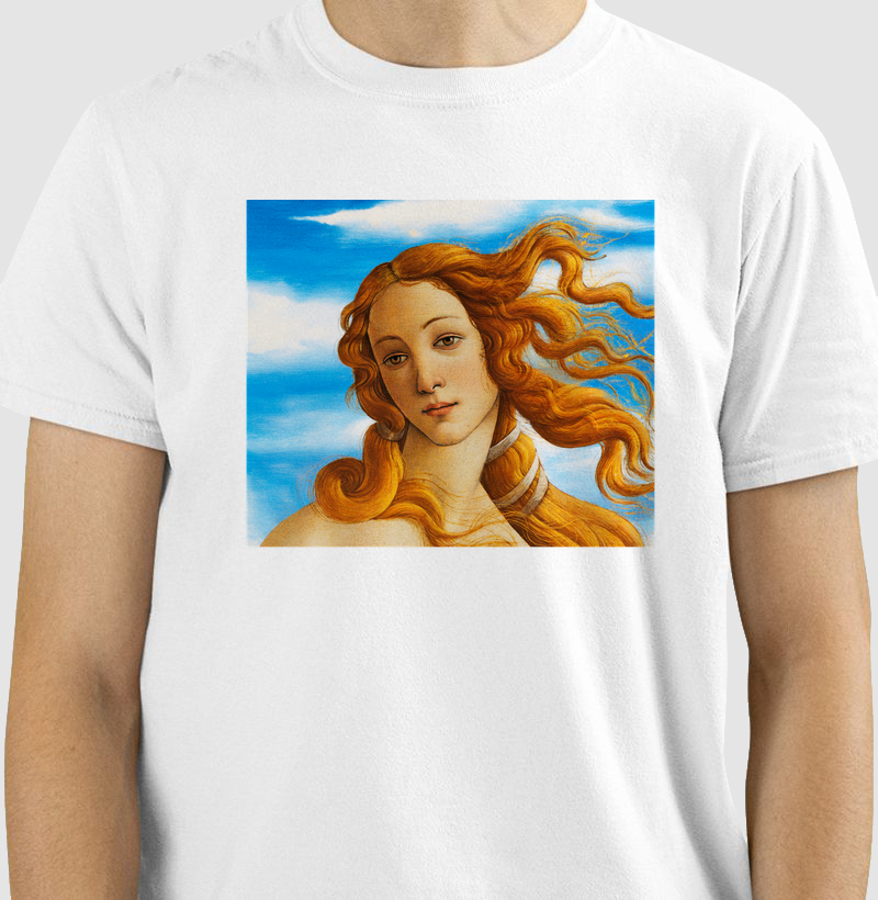 Arte Renascentista_ Botticelli Venus