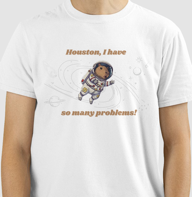 Houston, I have so many problems!