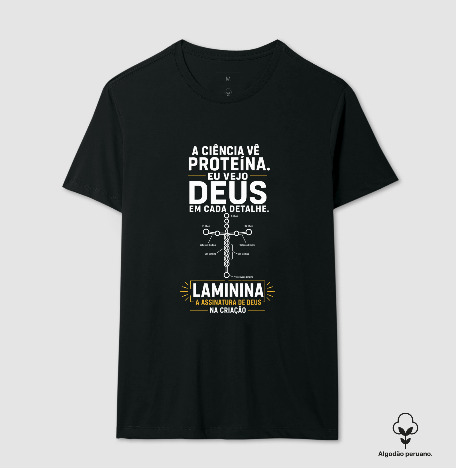 Laminina A Ciência Vê Proteína Eu Vejo Deus em Cada Detalhe