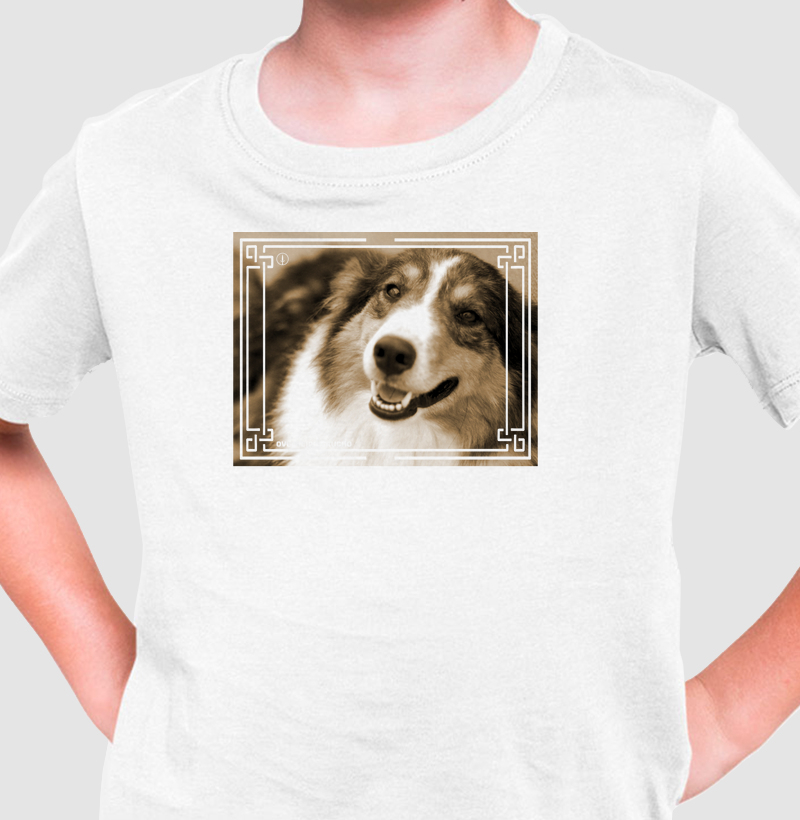 Ovelheiro Gaúcho - Sépia 4