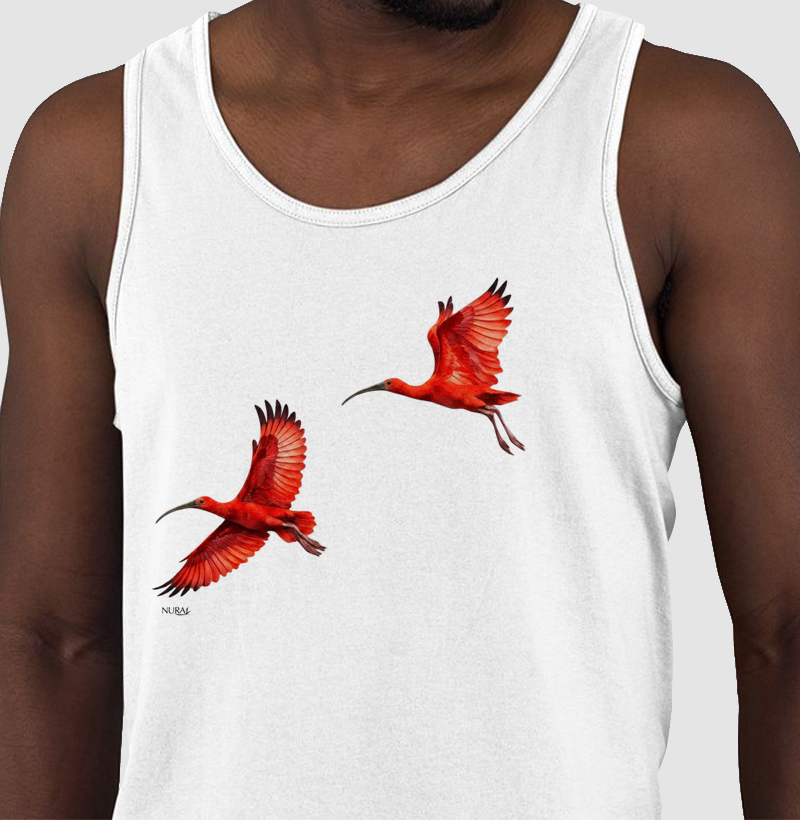 Sinfonia dos Guarás