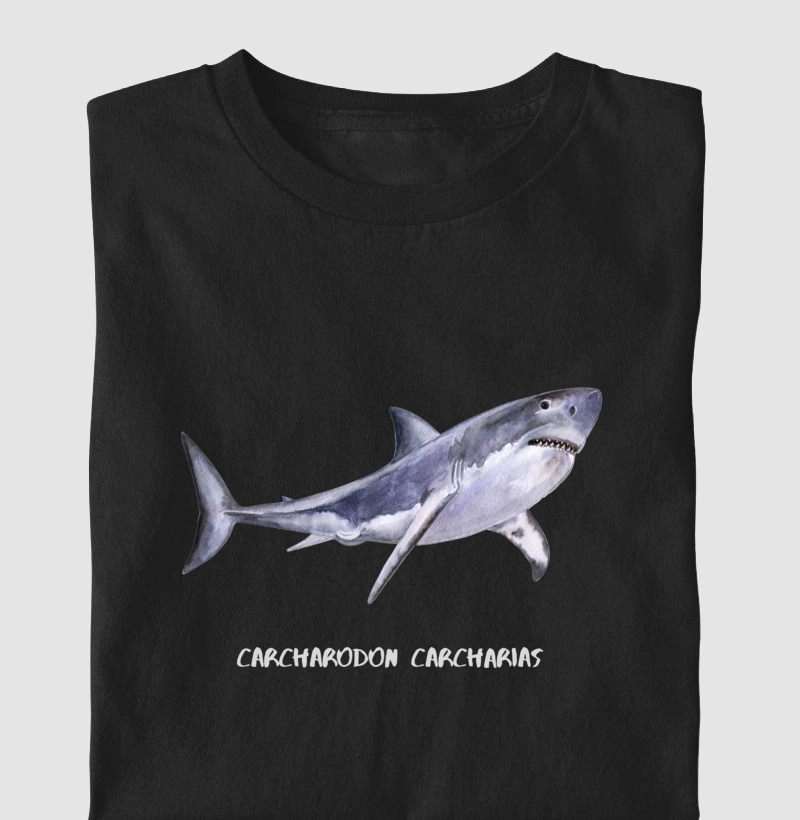 Carcharodon carcharias