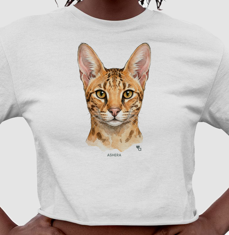 Gatos - Ashera - Cropped