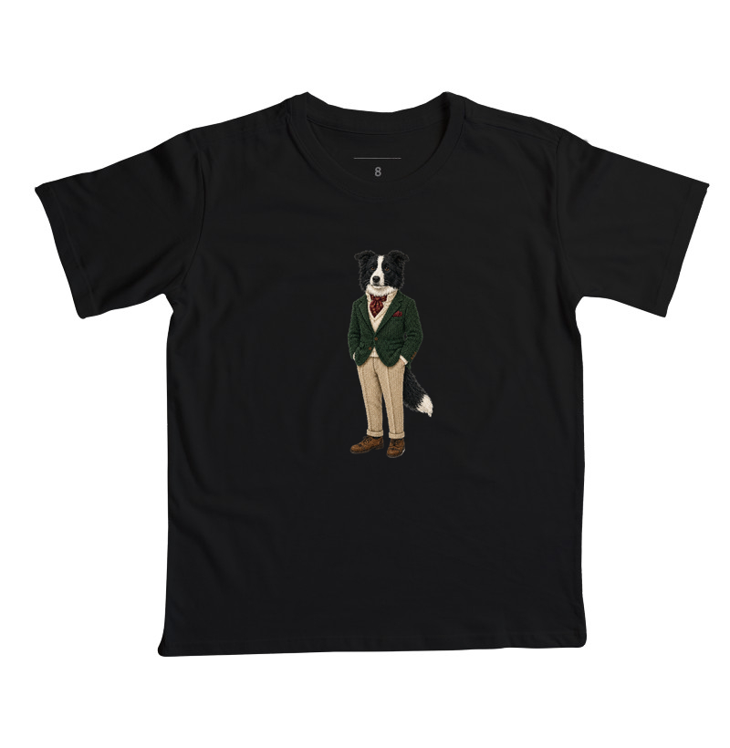Border Collie - Maison Canis