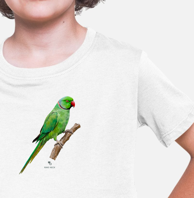 Aves - Ring Neck Verde - Infantil