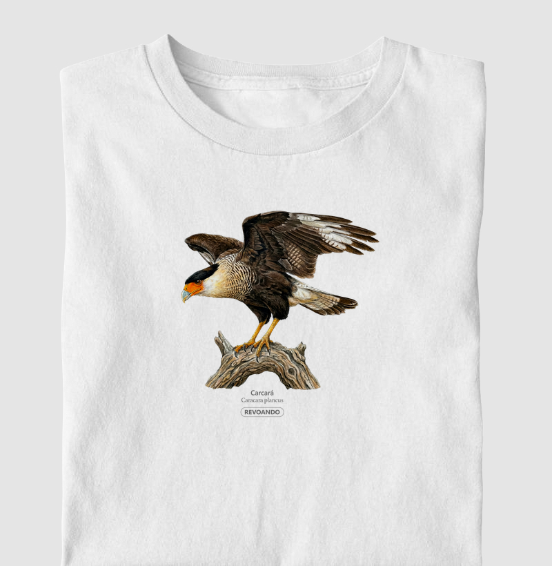 Traços Alados - Carcará - Infantil