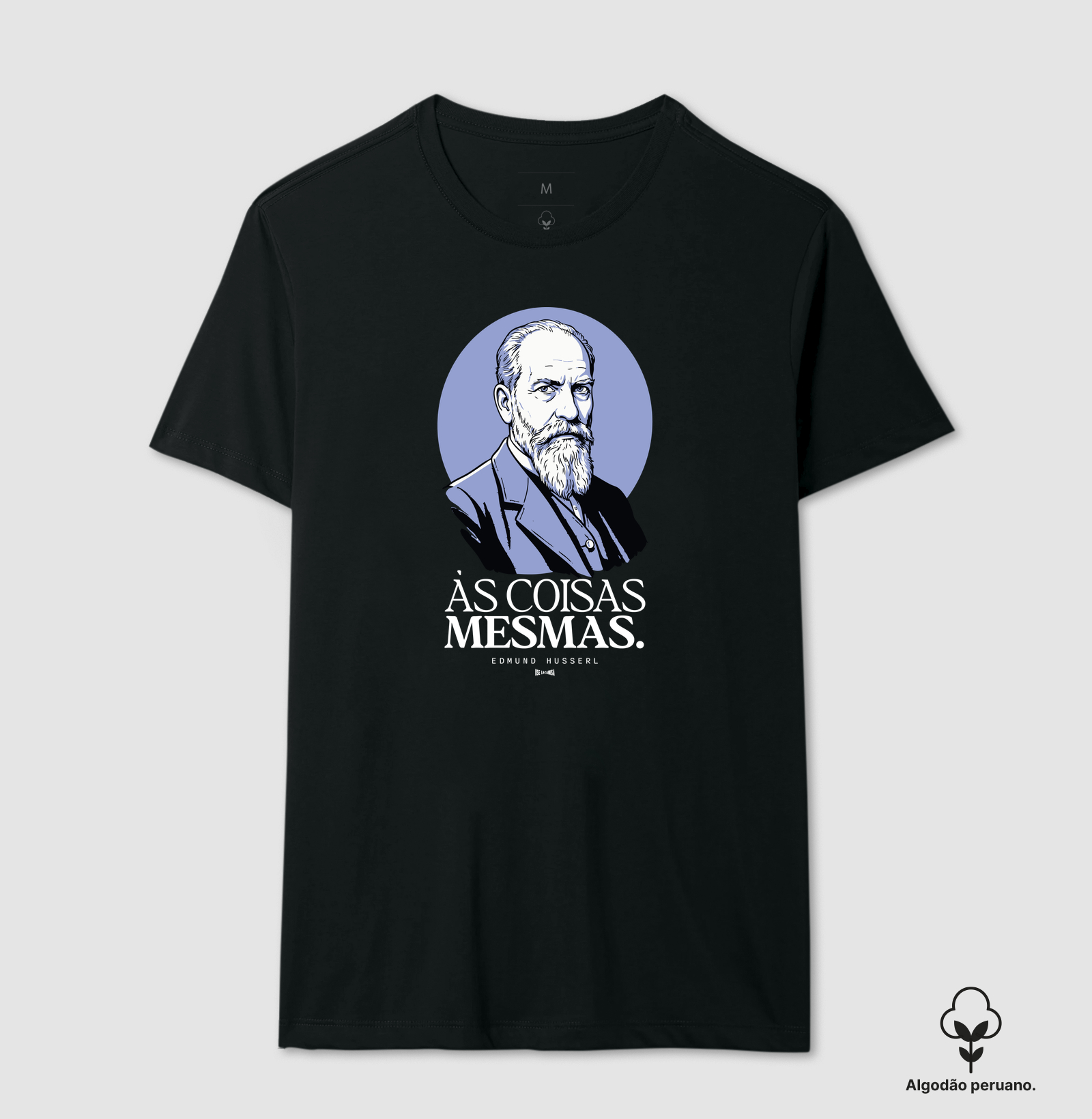 às coisas mesmas edmund husserl