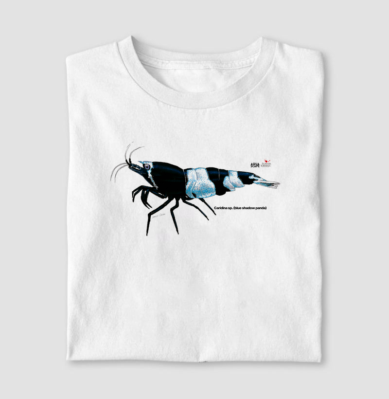 Camarão - Caridina sp. (blue shadow panda)