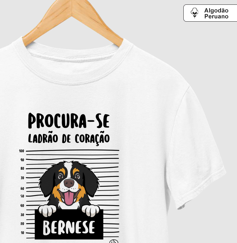 Bernese Ladrão de Coração