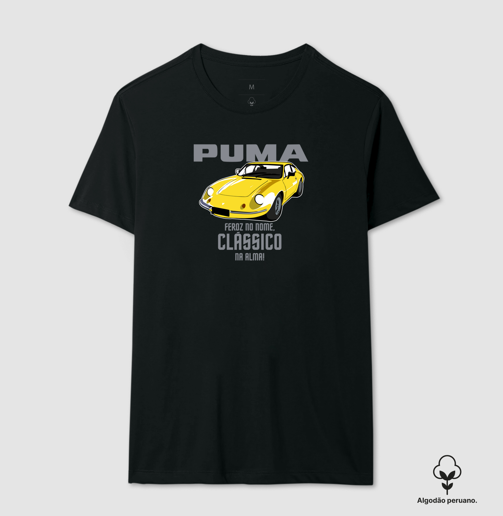 Puma, a fera aircooled brasileira.