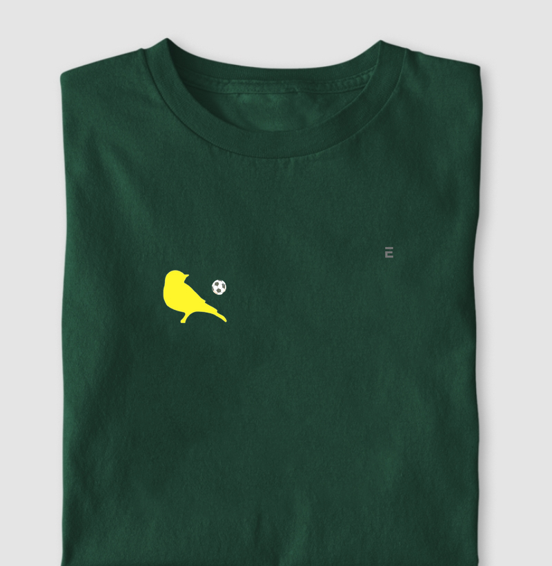Canário do Brasil pequeno