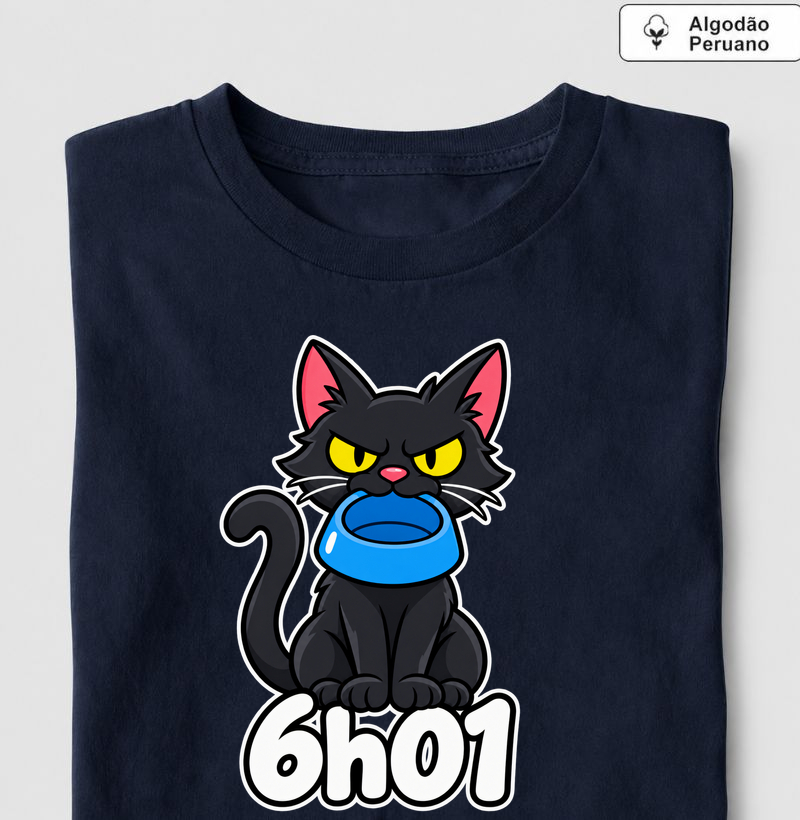 6h01