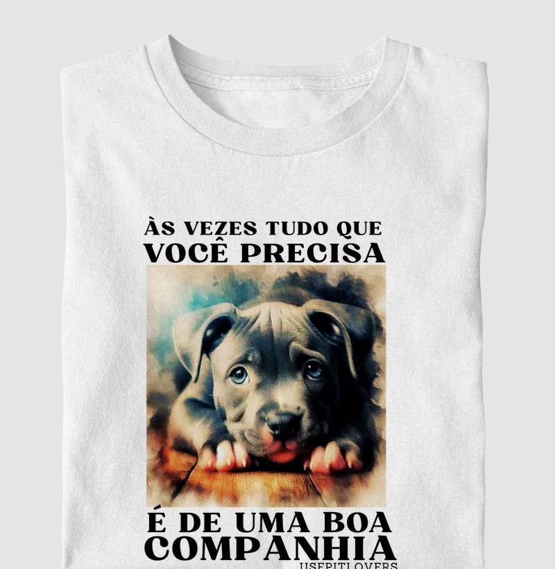 AS VEZES TUDO QUE VOCÊ PRECISA É DE UMA BOA COMPANHIA