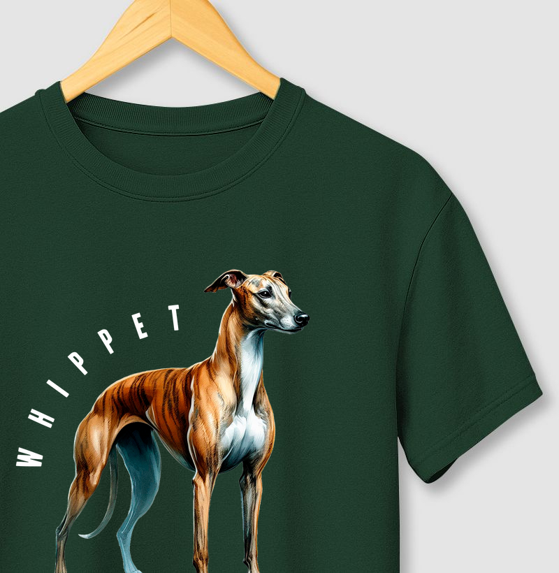 Whippet 