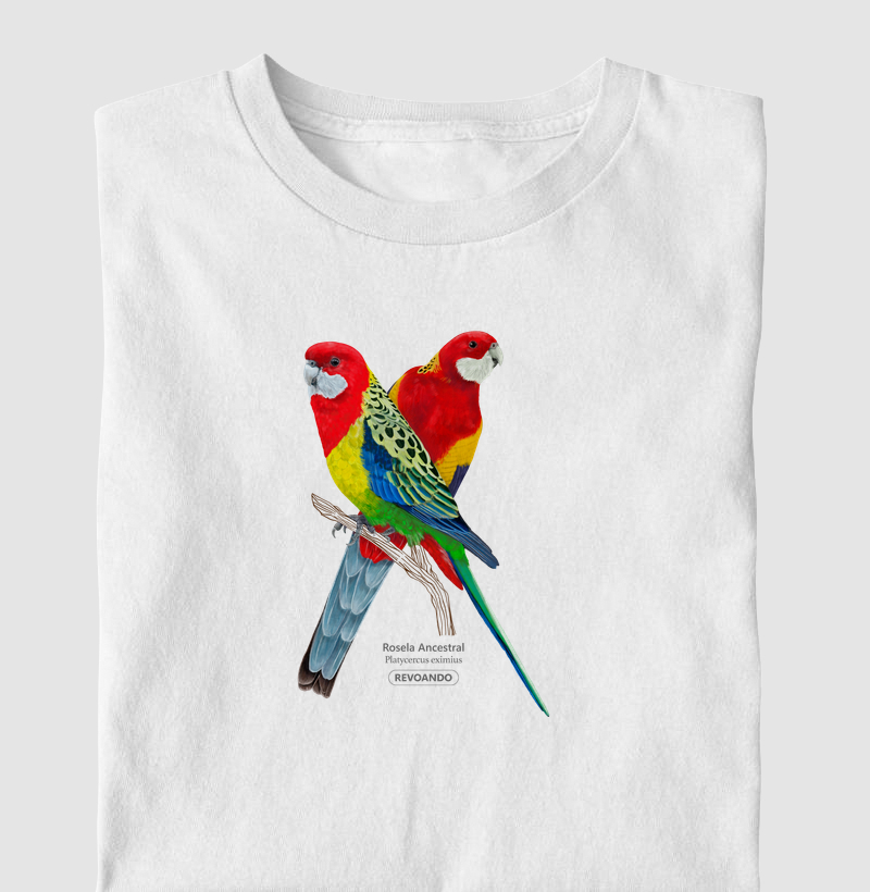 Love Friends - Rosela Ancestral - Infantil