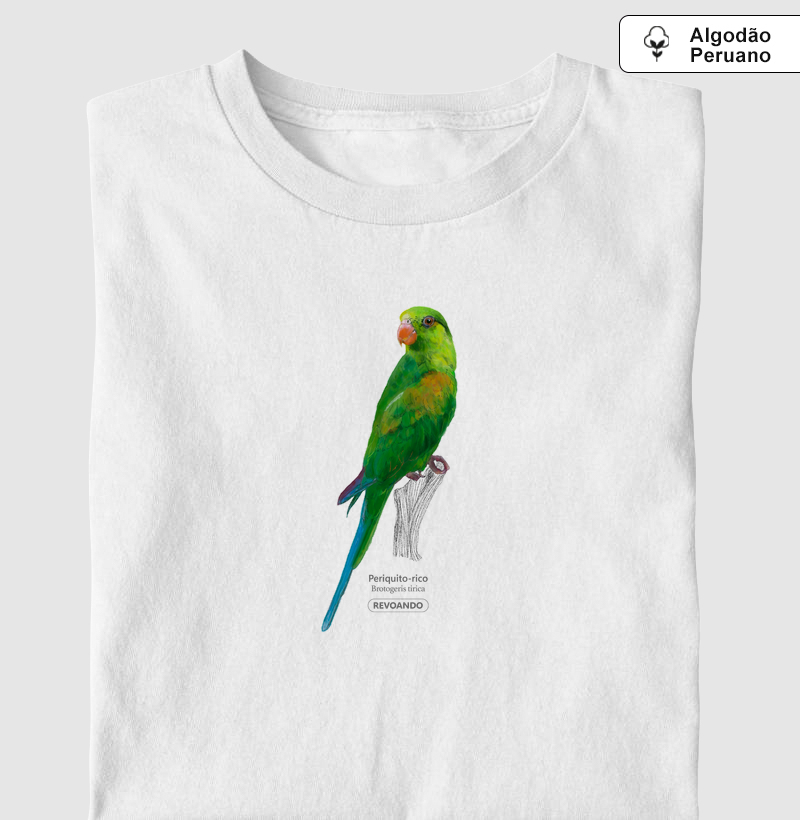 Aves do Brasil - Periquito-rico - Algodão Peruano