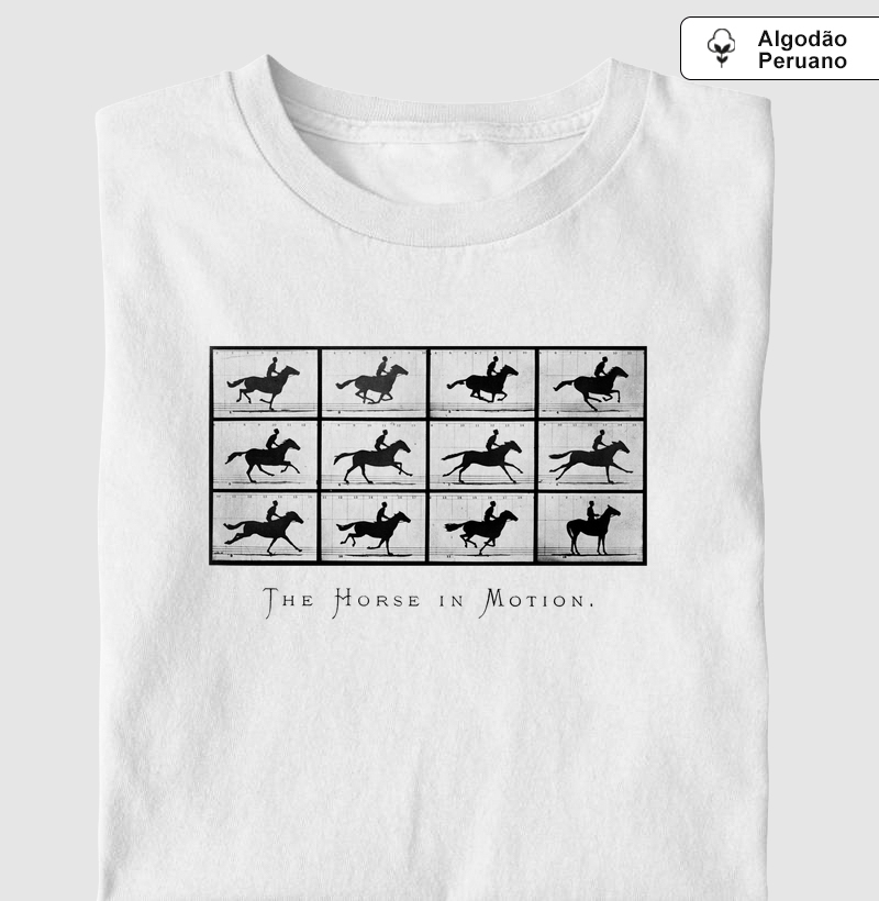 horse in motion