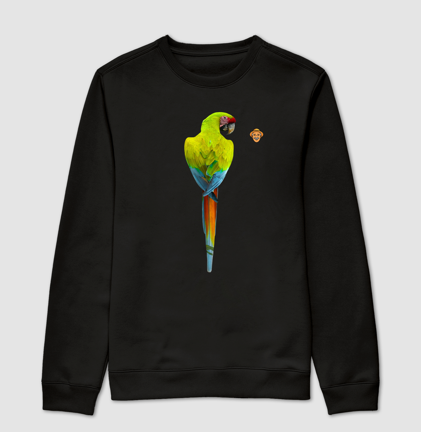 Arara-militar