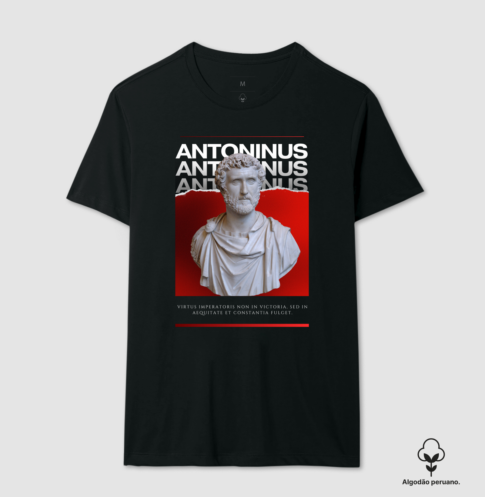 ANTONINUS PIUS – Virtus Imperatoris
